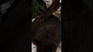 ASMR Deep Lice Check &amp; Scalp Inspection with ‎⁨@EleynaASMR #asmr #asmrrealperson  #asmrlicecheck