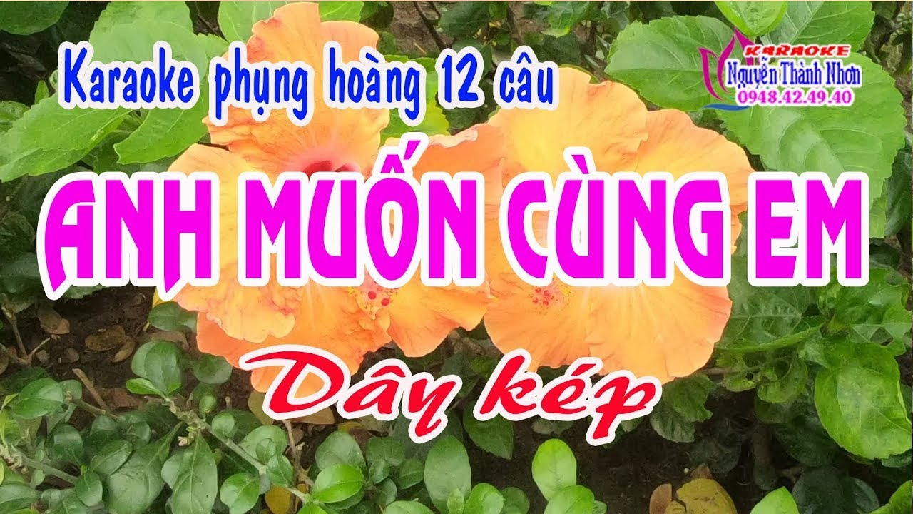 Karaoke phụng hoàng 12 câu ANH MUỐN CÙNG EM - DÂY KÉP