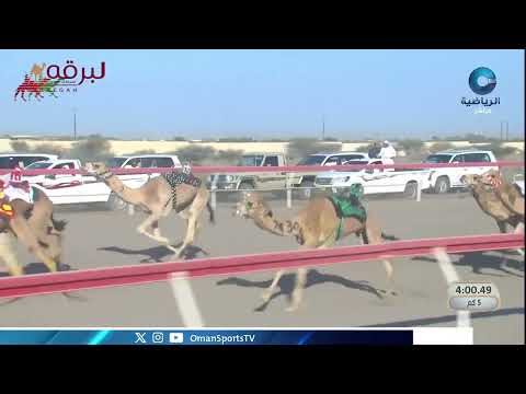 ش8 التبر لـ بدر ناصر حمد المدهوشي (السباق السنوي للاتحاد العماني 19-01-2026ص) لقايا قعدان 8:00:12