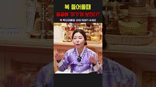 복 들어올때 얼굴에 &#39;이것&#39;이 보인다？ 용군TV 목단아씨당 #shorts #점집 #무당 #일산점집 #복 #행운 #운세 #좋은기운 #복들어올때 #운좋아지는법 #운명