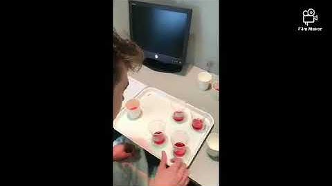 Experiment 6: Paired Preference Test (beverage)