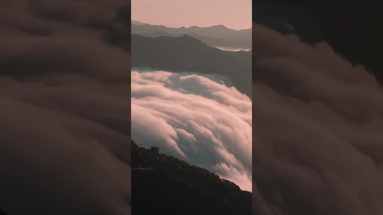 Mountain fog flows like a river !Epic timelapse 2K frames. 