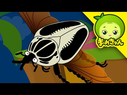 ゴライアスオオツノハナムグリを救え 昆虫救助隊 こんちゅうレスキューたい まめきゅん MAMEKYUNN