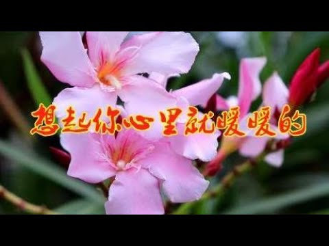 精选情歌《想起你心里就暖暖的》DJ何鹏版，节奏动感，词曲暖心！