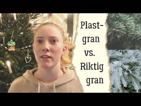 Video: Hur lång är livslängden för en kungsgran?