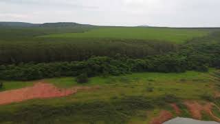 DJI 0302