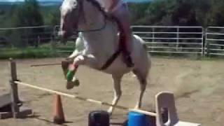 all about us.wmv