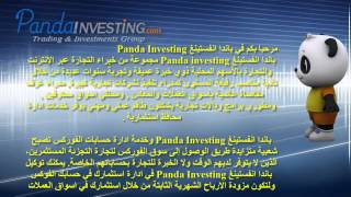 في باندا انفستينغ Panda Investing