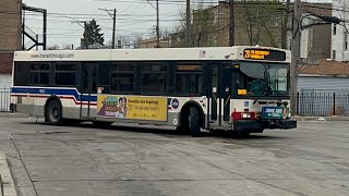 CTA Bus Ride On Route 20 Madison From Austin To State CTA New Flyer D40LF 2008 #1923