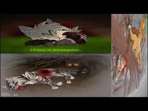 Top 20 Saddest Warrior Cat Deaths (spoilers) - YouTube