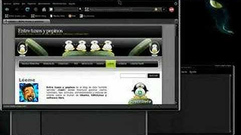 Compiz Fusion @ Ubuntu Feisty Fawn