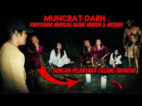 \"Het niet horen van het geluid van paarden\"