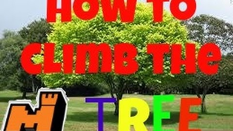 How to Climb the Mineplex Tree