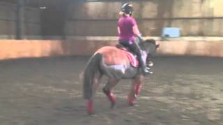 Cheyenne flat work