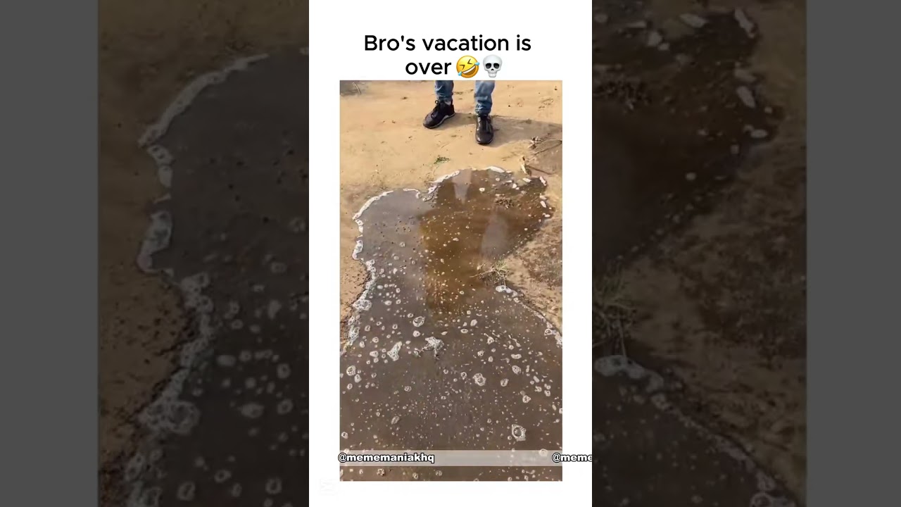 Meme Tier List That’ll Split the Internet in Half 😂🔥