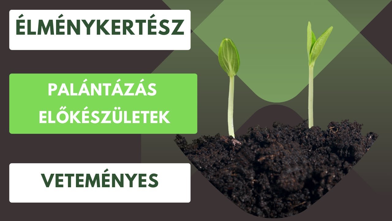 Ne olyan sietősen a palántázással!🌱