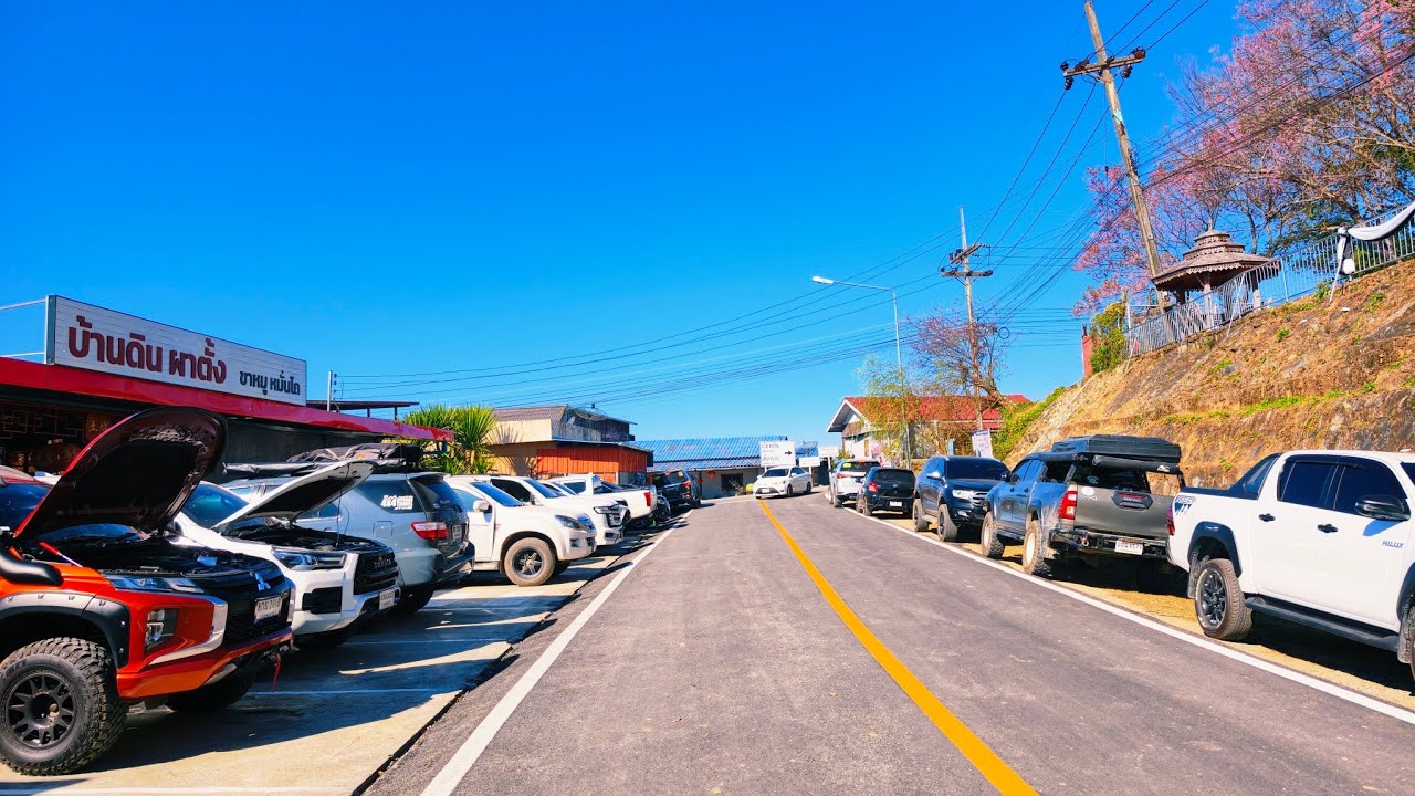 เส้นทางภูหลงถัง เชียงราย ที่ GPS พาไป อัพสกิลมือใหม่ ภูชี้ฟ้า ดอยผาตั้ง ภูชี้เดือน ภูชี้ดาว