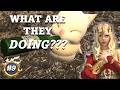 FFXIV Road to 8.0 | Episode 9 - Moogle Mayhem!