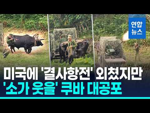 달구지