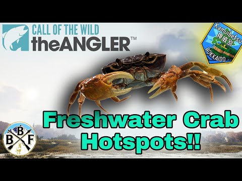 Beginner's Guide: Japanese Freshwater Crab - Best Bait & Hook Size | Call of the Wild: theAngler