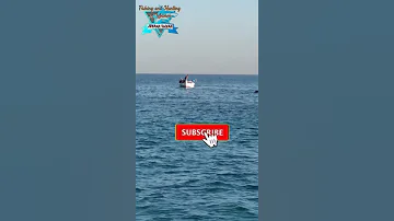 شباك الصيد على الشاطئ وأمام صي ادي القصبة أقل ما يقال أنه مجنون وليس صي اد حتى أنه ليس بإنسان 