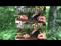 Liana flores  rises the moon  ukulele tutorial