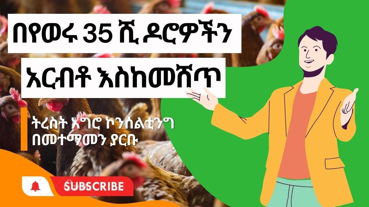 በየወሩ 35 ሺ ዶሮዎችን አርብቶ እስከ መሸጥ