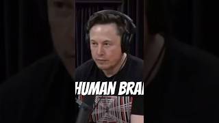 Download Lagu Elon Musk on the essential elements of an Ai Neutral Net: #elonmusk #viral #elonmuskmotivation MP3