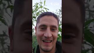 Дно Каховського водосховища