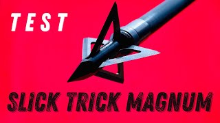Slick Trick Magnum 100 Gr Broadhead Test One Of The Highest Scores In 2022