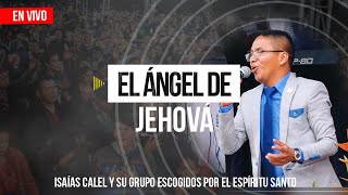 Video thumbnail of "Isaías Calel - El Ángel De Jehová (En Vivo)"