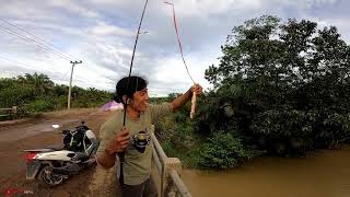 DESPERATELY FISHING FOR CROCODILES DURING THE FARMING MONTH AND THIS IS WHAT HAPPENED