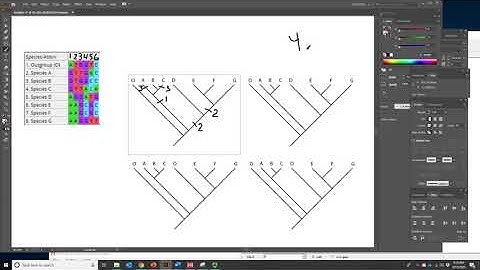 BIOL 6330 Unit 1 71 Review of Simple Mapping and Fitch Optimization