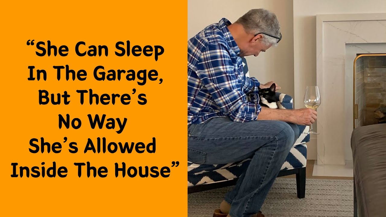 50 Dads Who Didn't Want The Damn Pet In Their Lives 4/4 - Cute pet