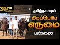 ERUMAI VALARPU TAMIL | 80 எருமைகள் கொண்டபண்ணை | சிறந்த பராமரிப்புகான கால்நடை மருத்துவரின் விளக்கம்