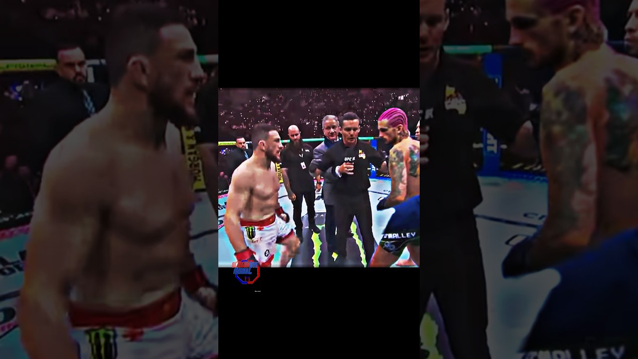 Merab Dvalishvili vs Sean O’Malley who do you pick⚔️⁉️ 