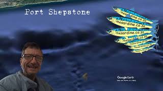 The Sardine News Fishing Report December 2023
