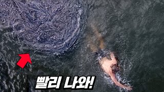 물에서 발견하면 무조건 도망쳐야 되는 괴생물체 (스티븐 킹) | 결말 포함