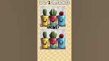 Find the Difference | Spot the difference |28|