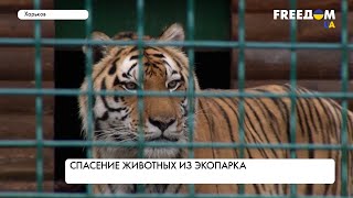 Как спасают животных из уничтоженного оккупантами экопарка в Харькове