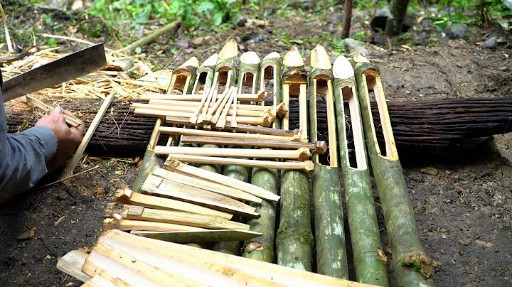 How many days does it rain in the rainforest? (2023)