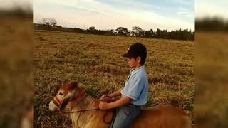 Soltei o comanche 🌵 no estradão