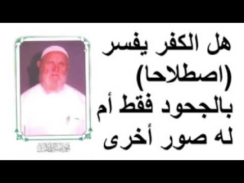 الشيخ الألباني هل الكفر يفسر (اصطلاحا) بالجحود فقط أم له صور أخرى