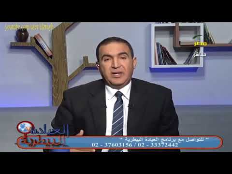 التهاب الغشاء المخاطي للفم عند الابقار والجاموس الاسباب وطرق العلاج