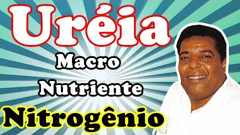 Como é produzida a ureia?