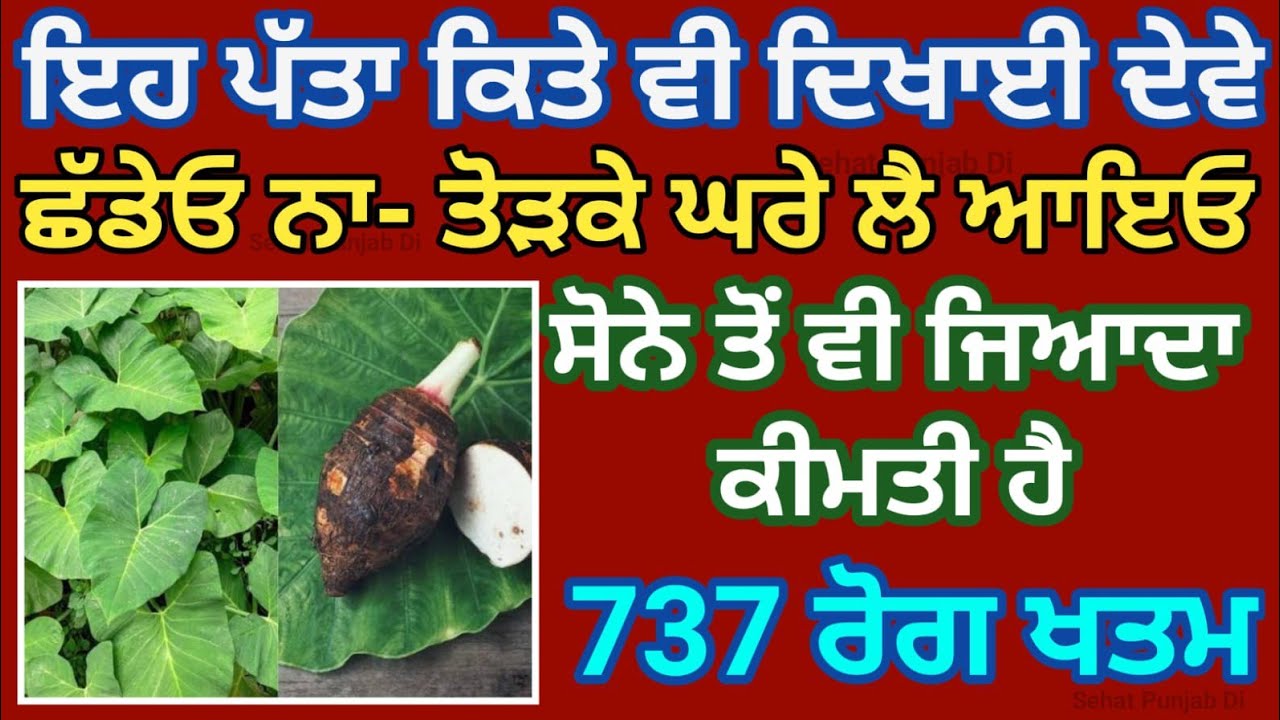 ਮੁੰਡੇ ਨੇ ਦੇਖੋ ਕਿਵੇਂ ਦਿਖਾਈ ਦਲੇਰੀ