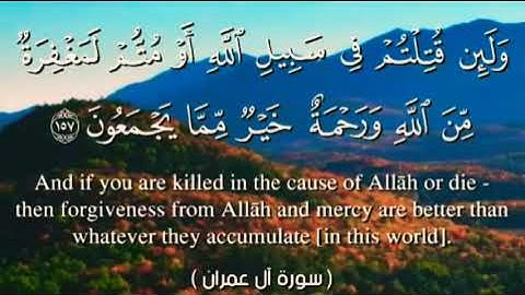 تلاوة مؤثرة لقلوب حية﴿وَلَئِن قُتِلْتُمْ فِي سَبِيلِ اللَّهِ أَوْ مُتُّمْ ﴾ ناصر القطامي