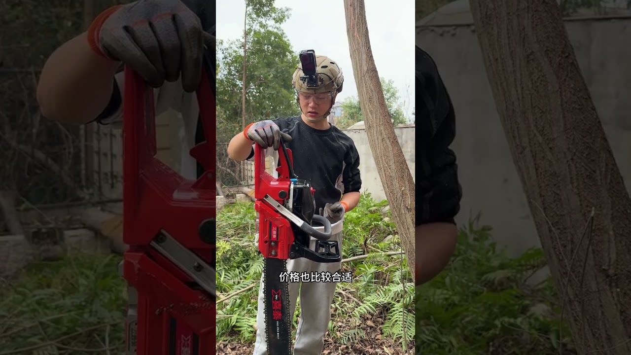 Today we helped Boge deal with several trees that had been bothering his home for a long t