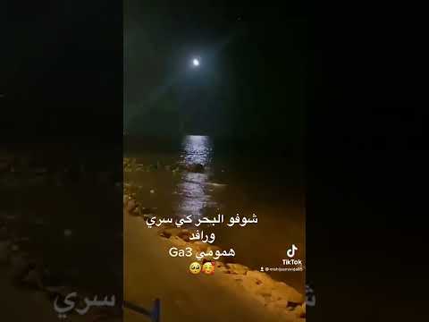 سرك خليه ليك لانه كل حبيب عنده حبيب