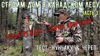 видео: Строим дом в Канадском лесу-3 .Нунчаку тест картинка: Строим дом в Канадском лесу-3 .Нунчаку тест